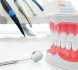 dental model and dental tools