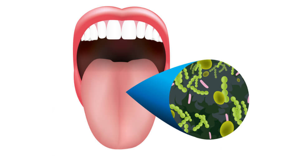 microscope view of oral bacteria